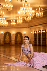 Embroidered Lehenga Choli